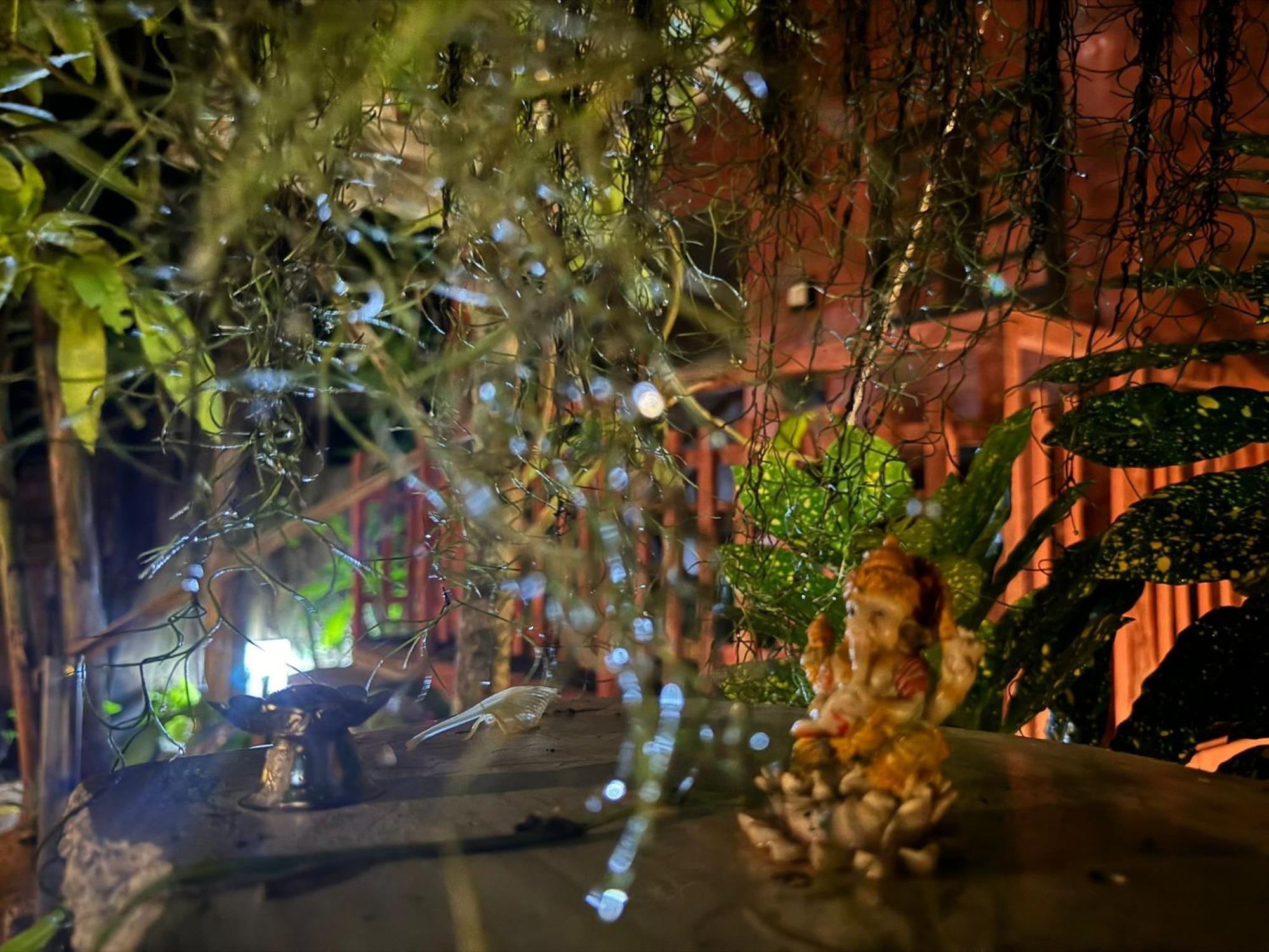 Lala's Place